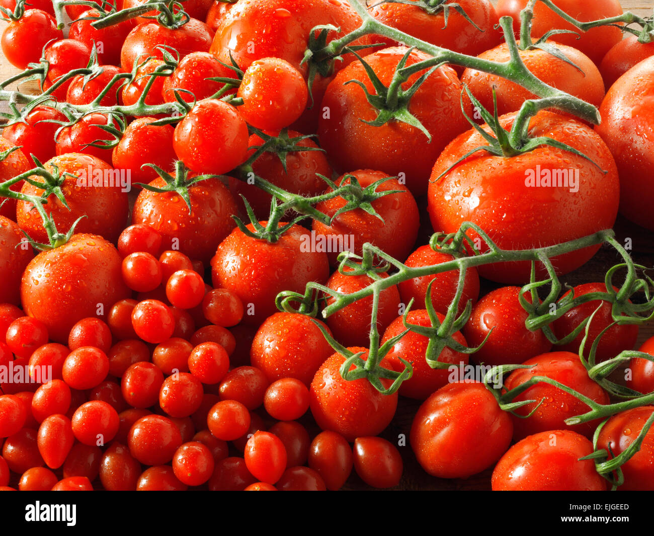 mixed fresh red whole tomatoes on the vine Stock Photo