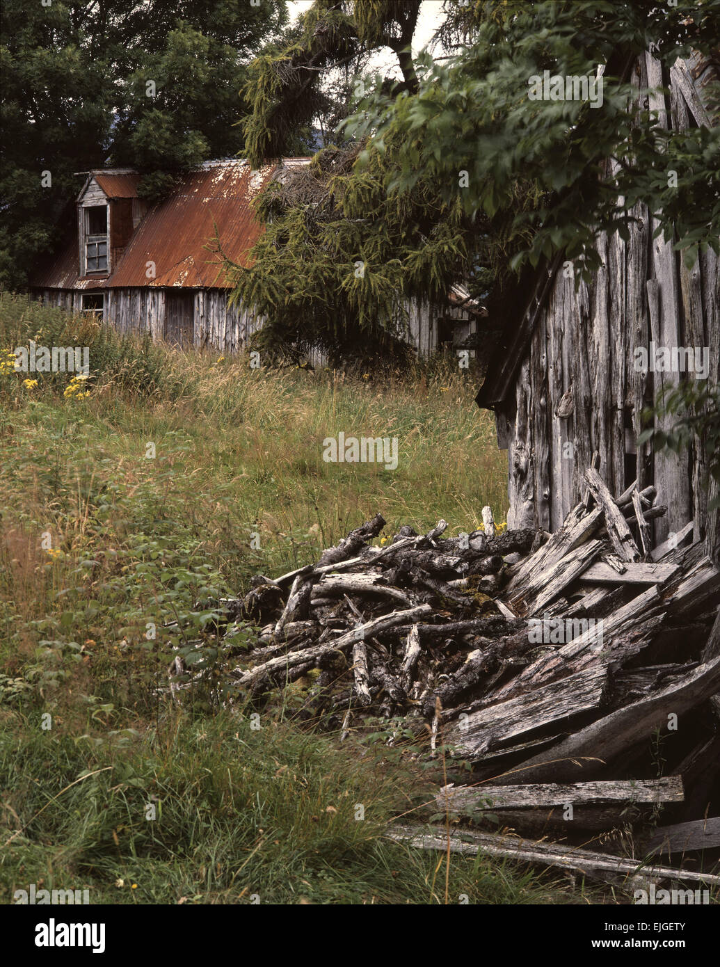 Abandoned Cottage At Upper Tullochgrue Cairngorms Scotland Stock