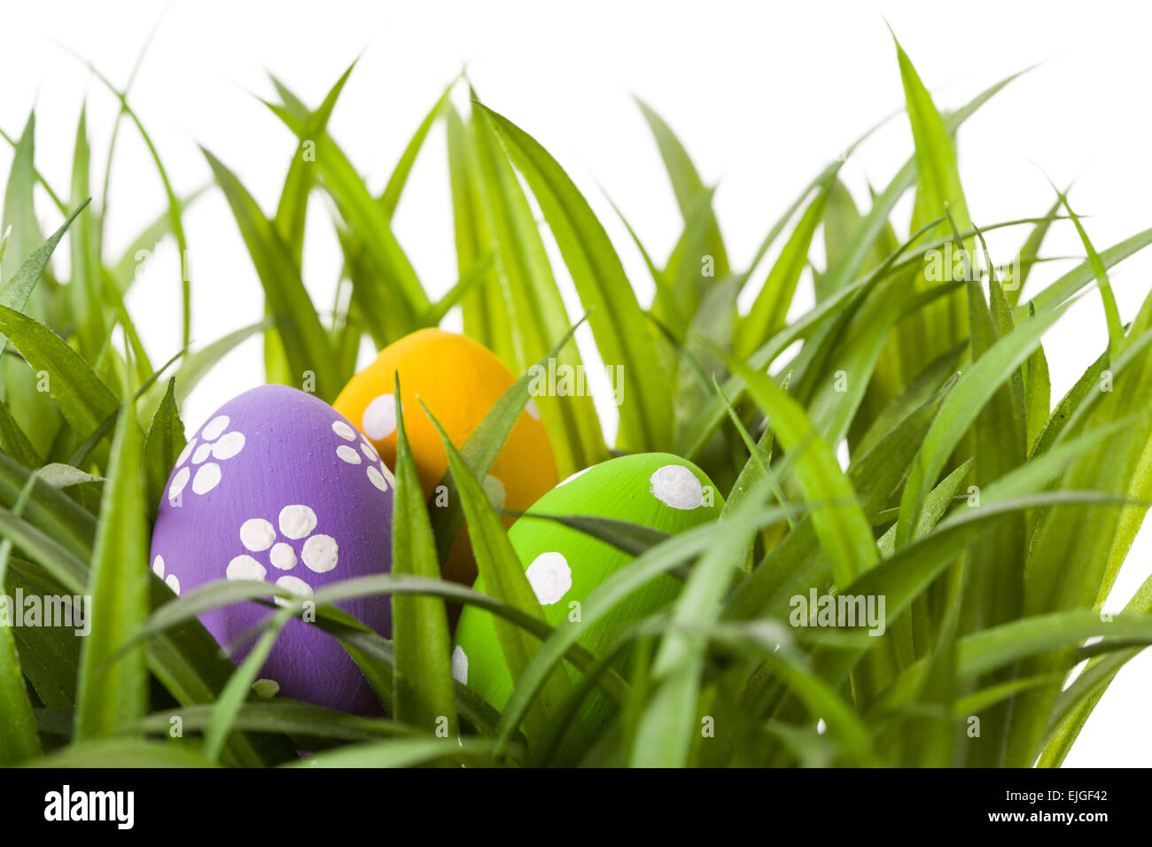 Easter Eggs with flower on Fresh Green Grass Stock Photo