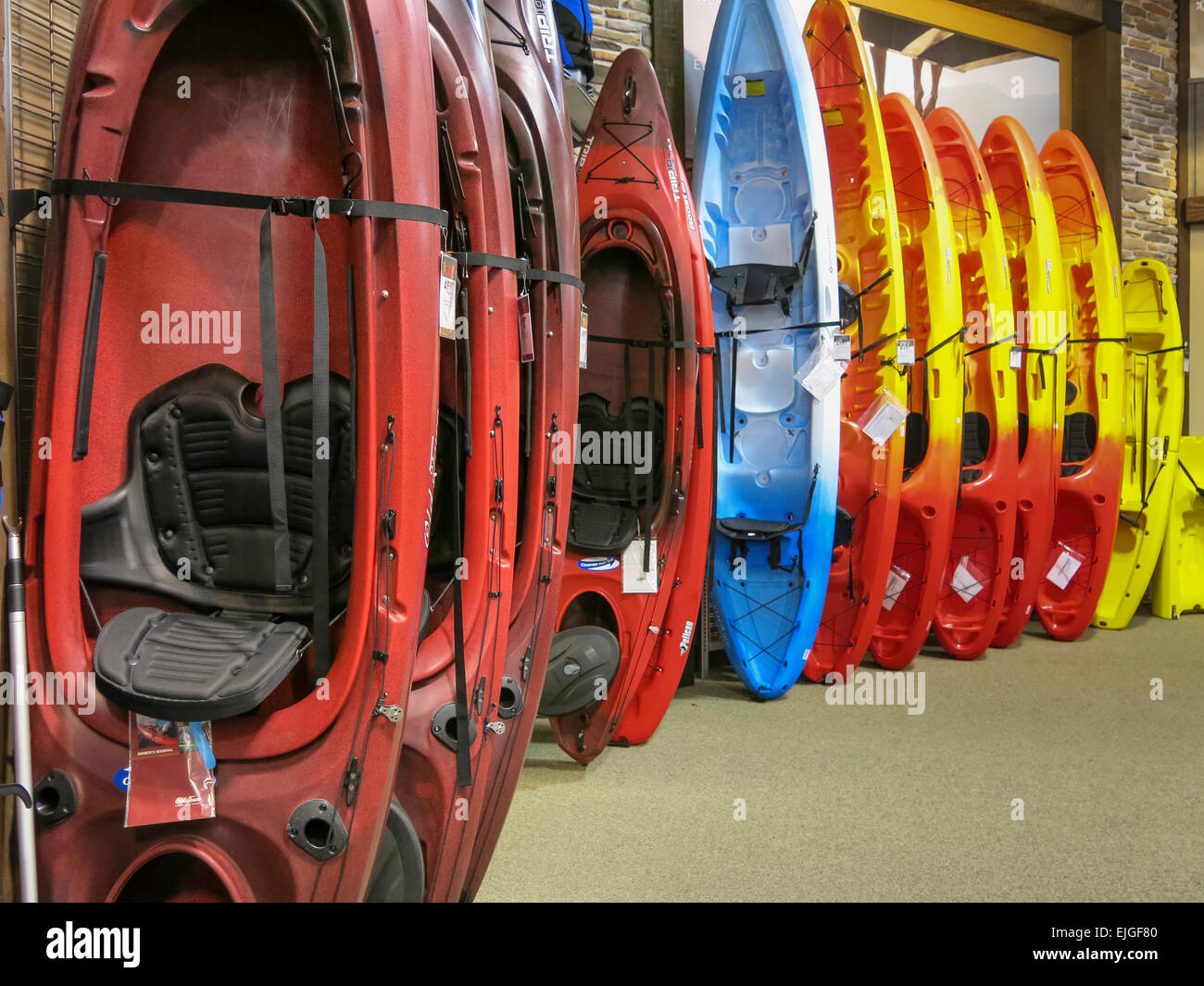 Dick's Sporting Goods in Tampa, Florida, USA Stock Photo Alamy