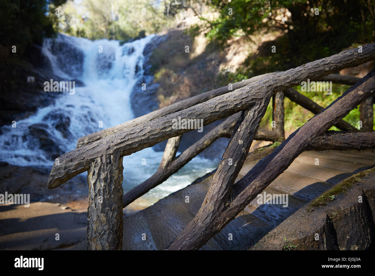 bridge of logs across a stream in a forest in Vietnam Stock Photo - Alamy