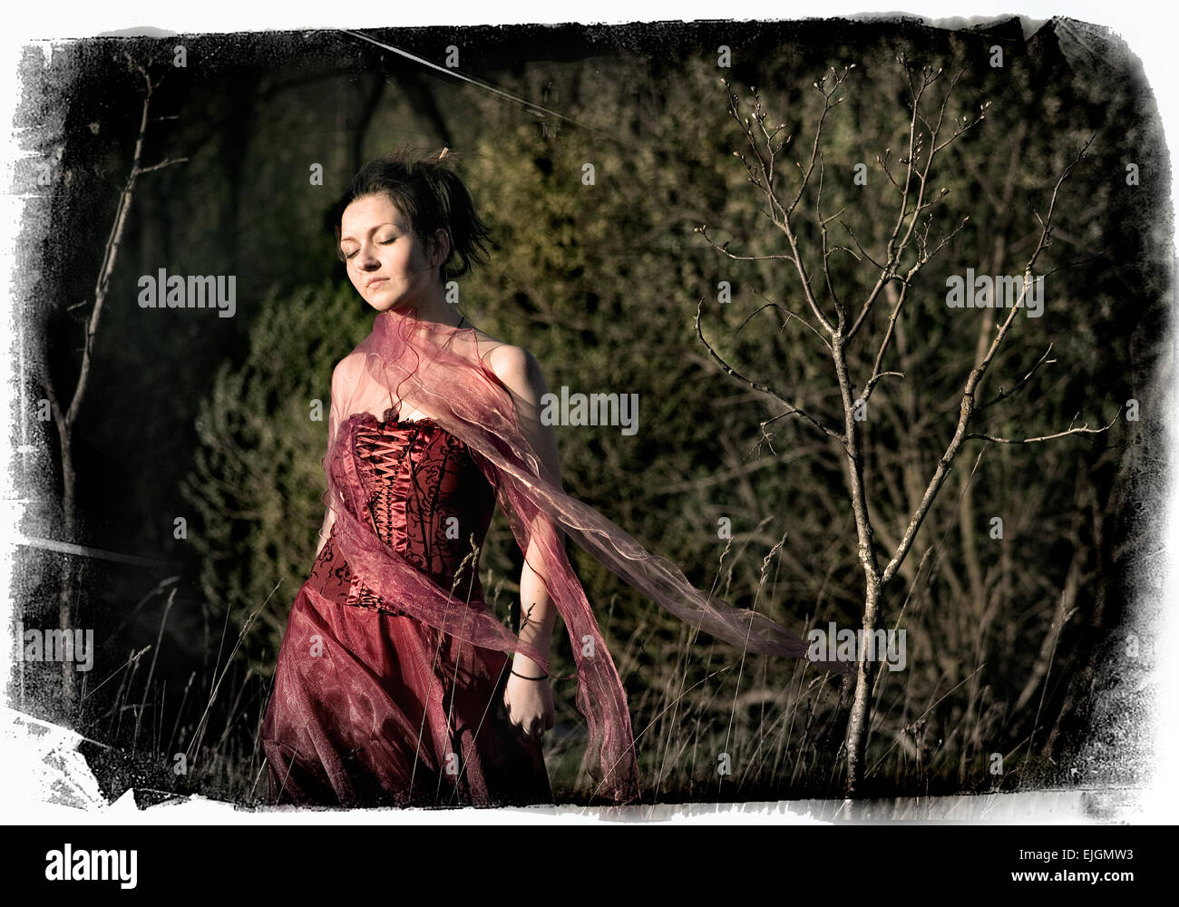 girl in a red dress on nature Stock Photo - Alamy