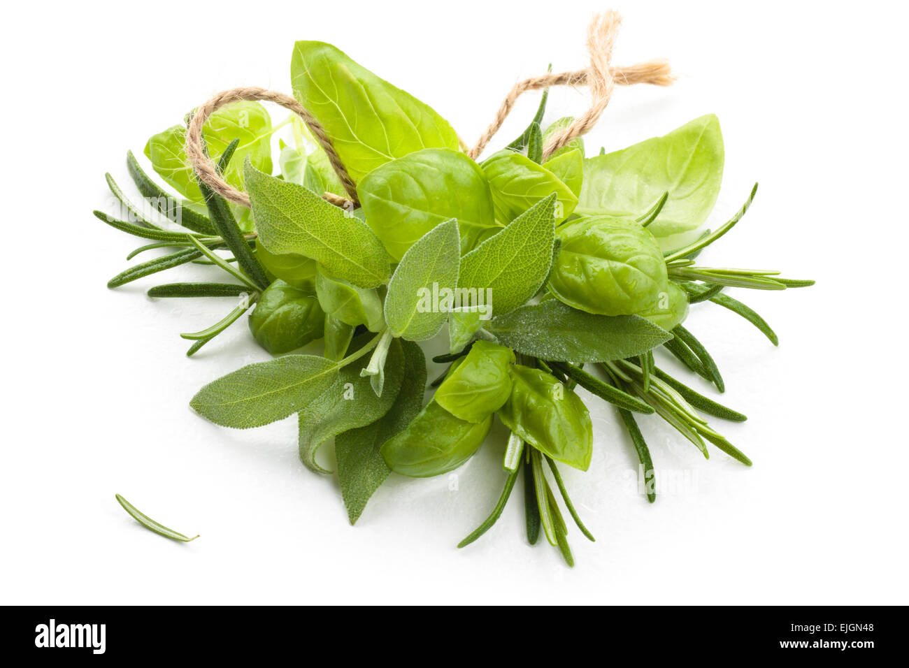 Bunch of  basil, rosemary and sage. Stock Photo