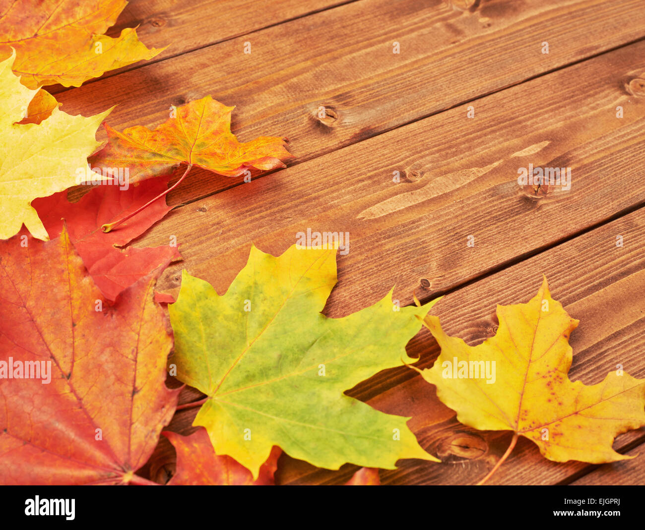 Maple leaves over the wooden boards Stock Photo - Alamy
