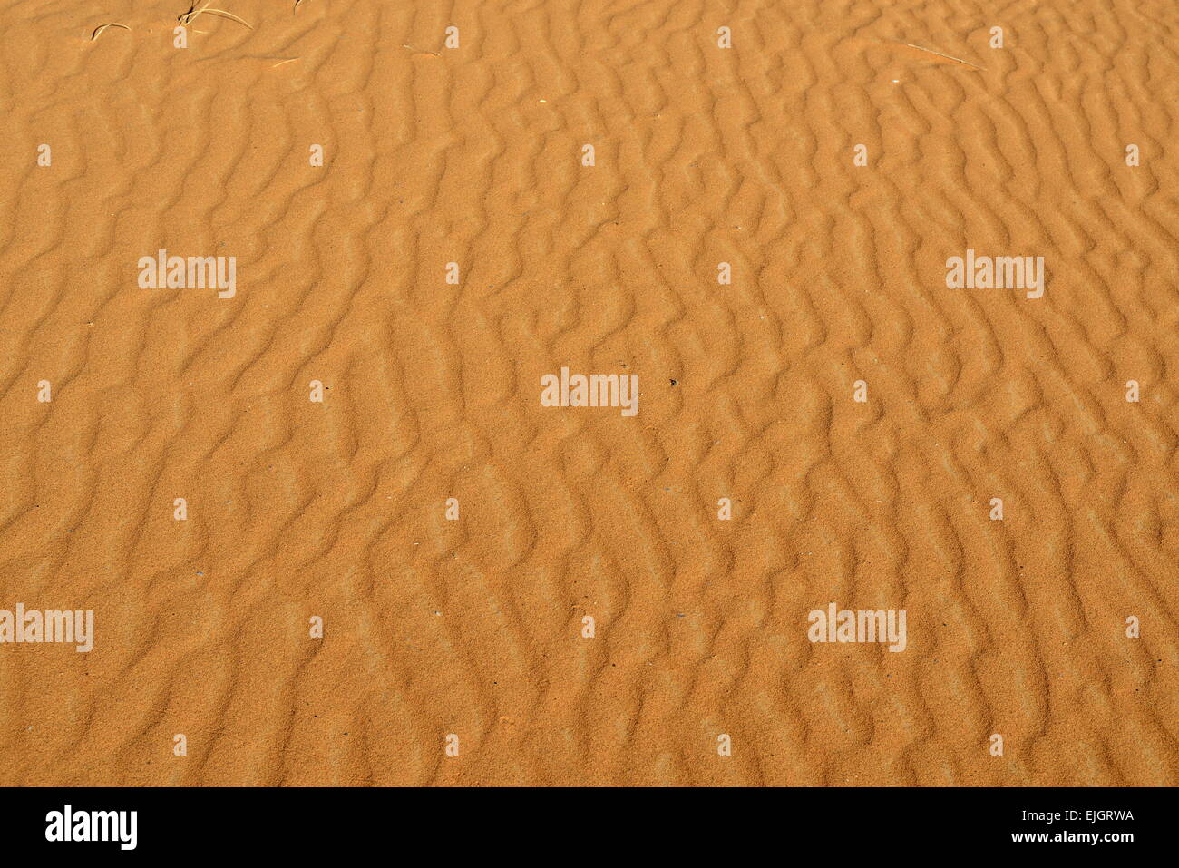 Desert background - Sahara in Morocco near to Merzouga Stock Photo - Alamy