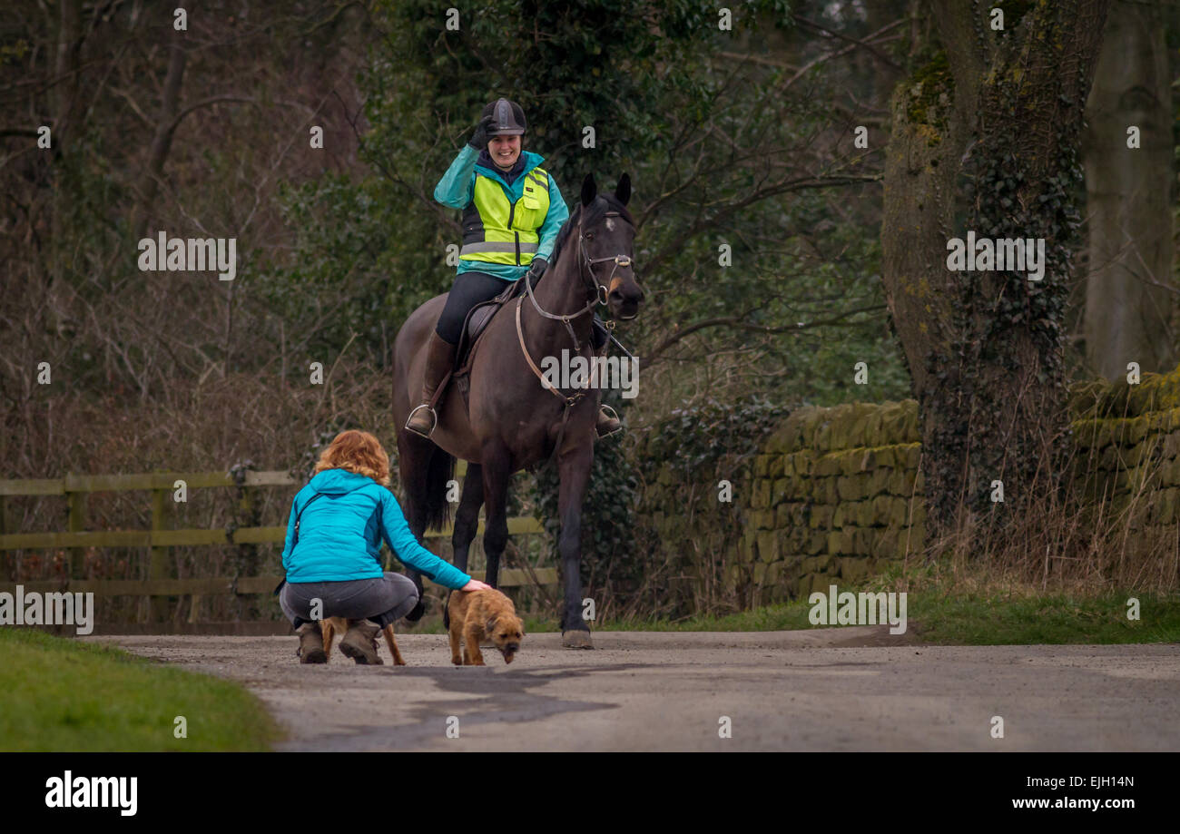 Horserider greeting female person with dog with the tip of her hat, Yorkshire, UK Stock Photo
