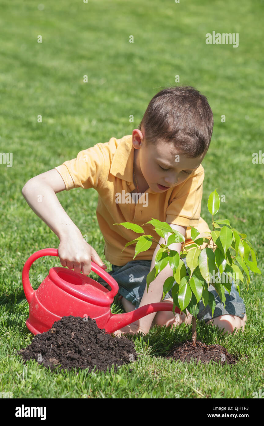 boy with tree on lawn Stock Photo - Alamy