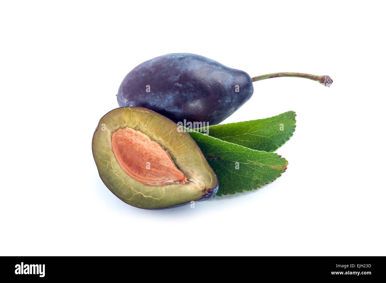 two plum isolated on white Stock Photo