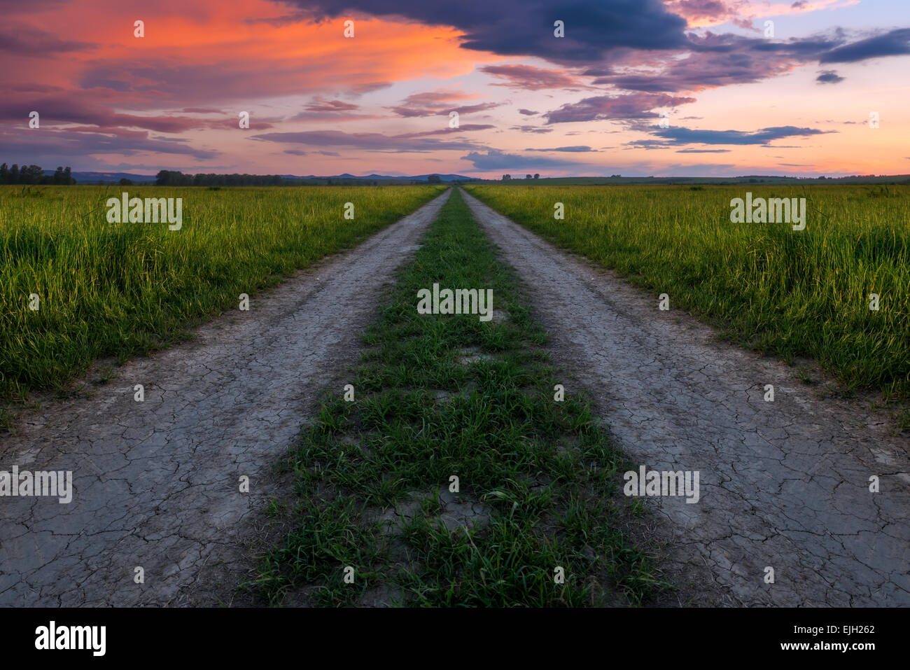 rural road and pink sunset Stock Photo