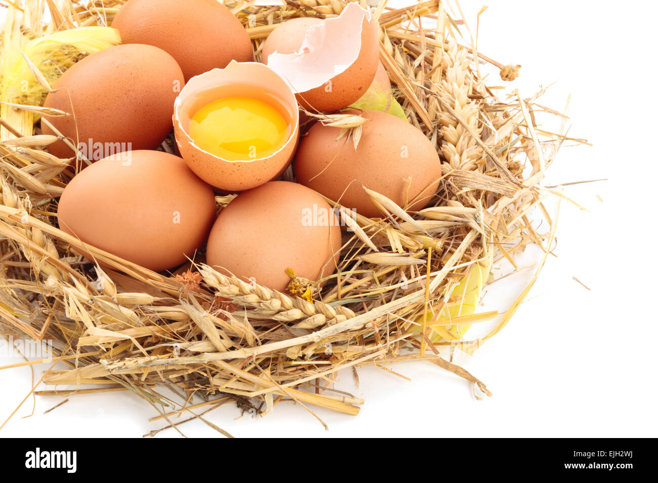 Chicken eggs in nest of straw Stock Photo - Alamy
