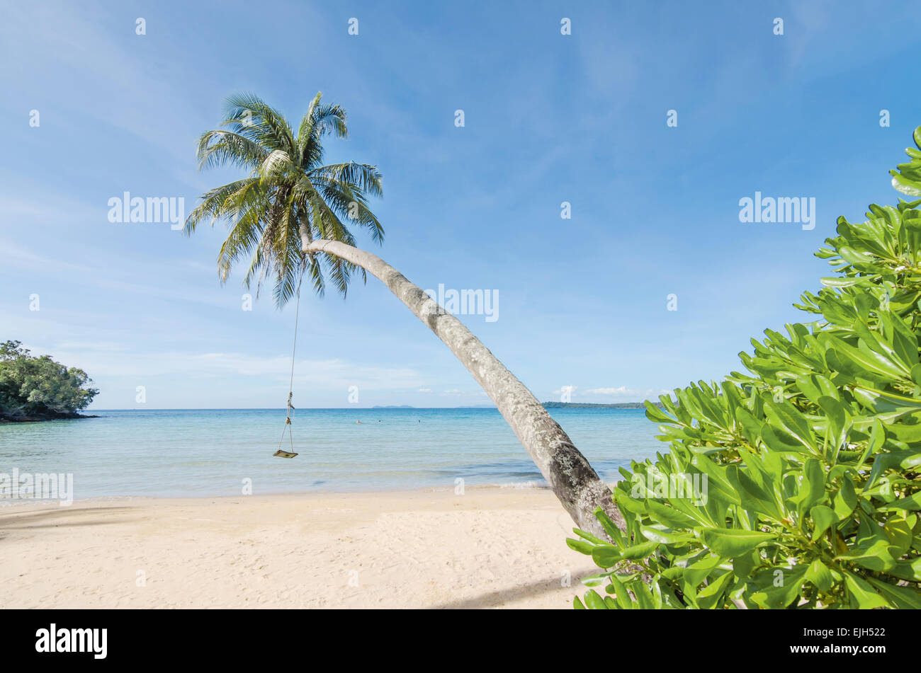 Summer, Travel, Vacation and Holiday concept - Swing hang from coconut palm tree over beach sea in Phuket ,Thailand. Stock Photo