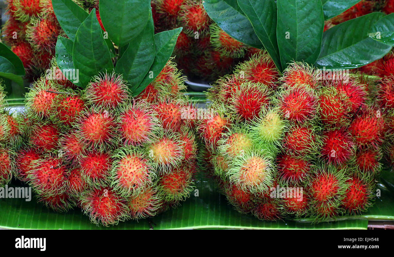Rambutan fruit thailand hi-res stock photography and images - Alamy