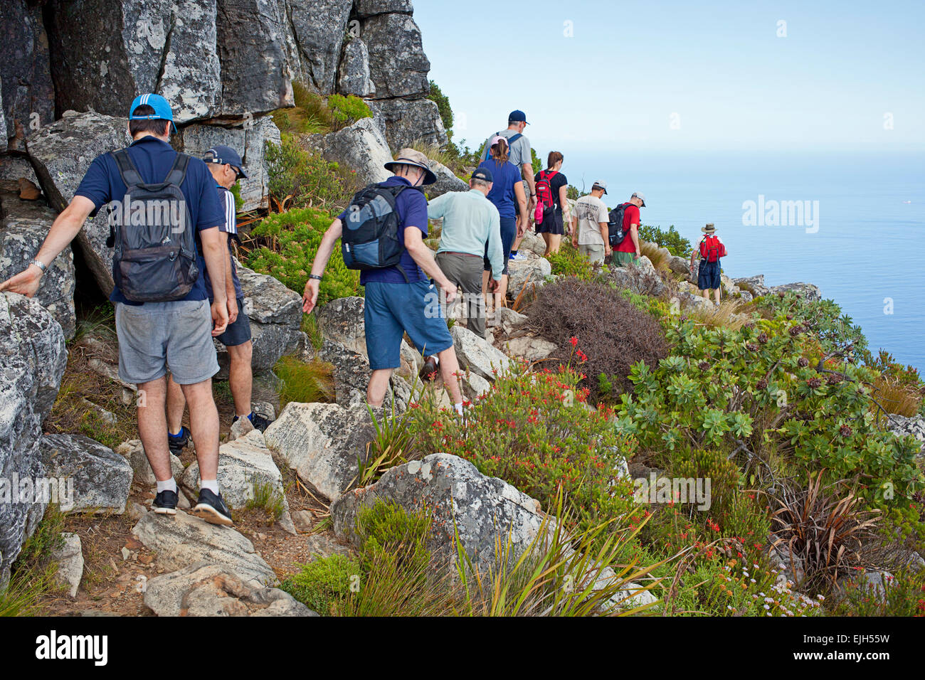 A large group of adults hiking along Table Mountain Stock Photo