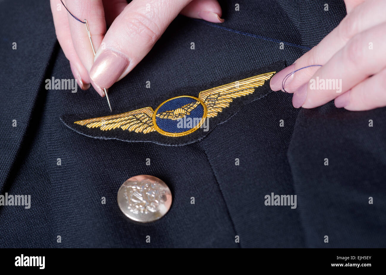 Pilots badge hires stock photography and images Alamy