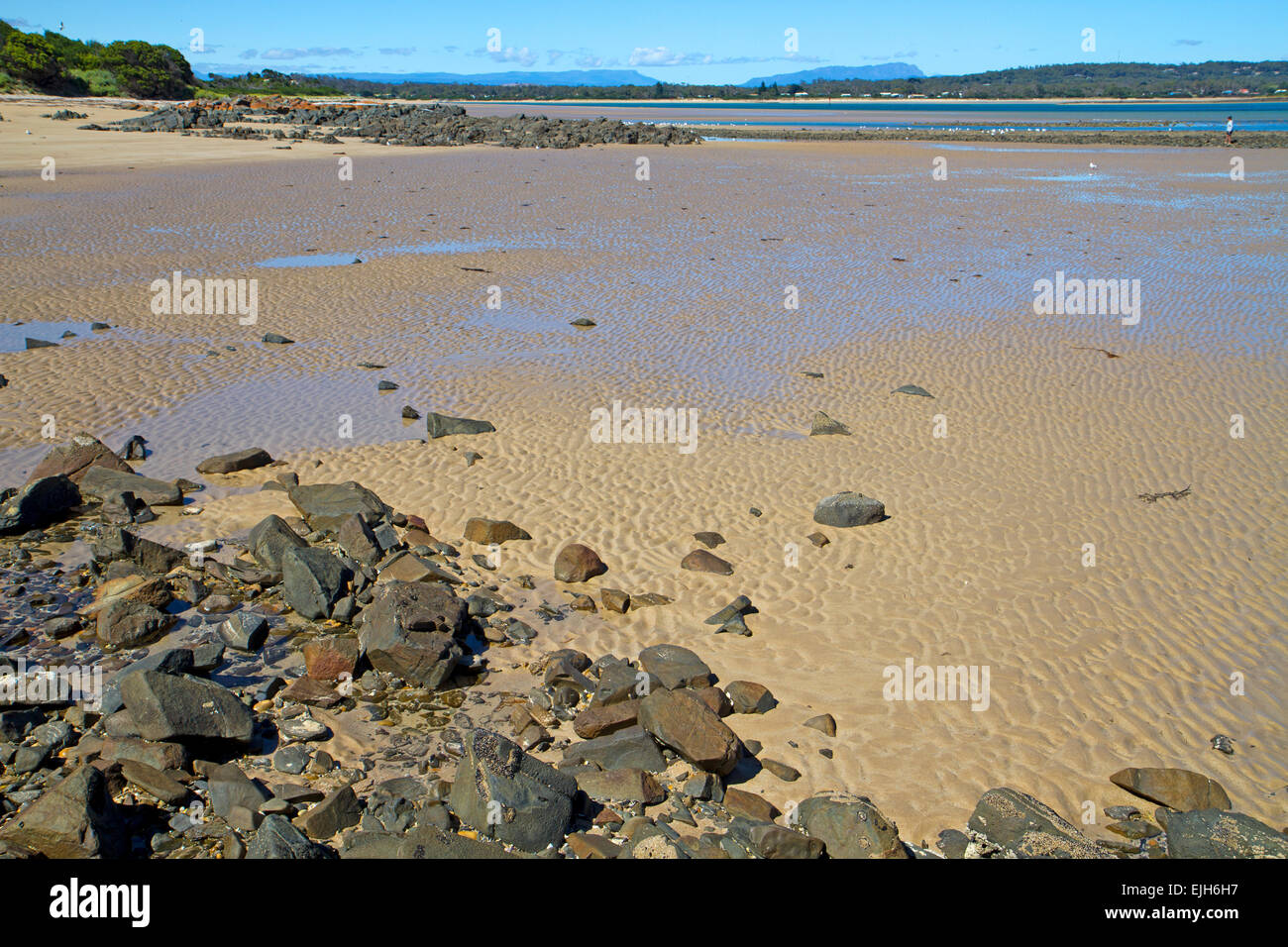 Bakers Beach in Narawntapu National Park Stock Photo Alamy