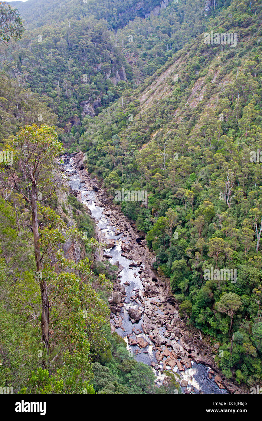 Leven Canyon in northern Tasmania Stock Photo
