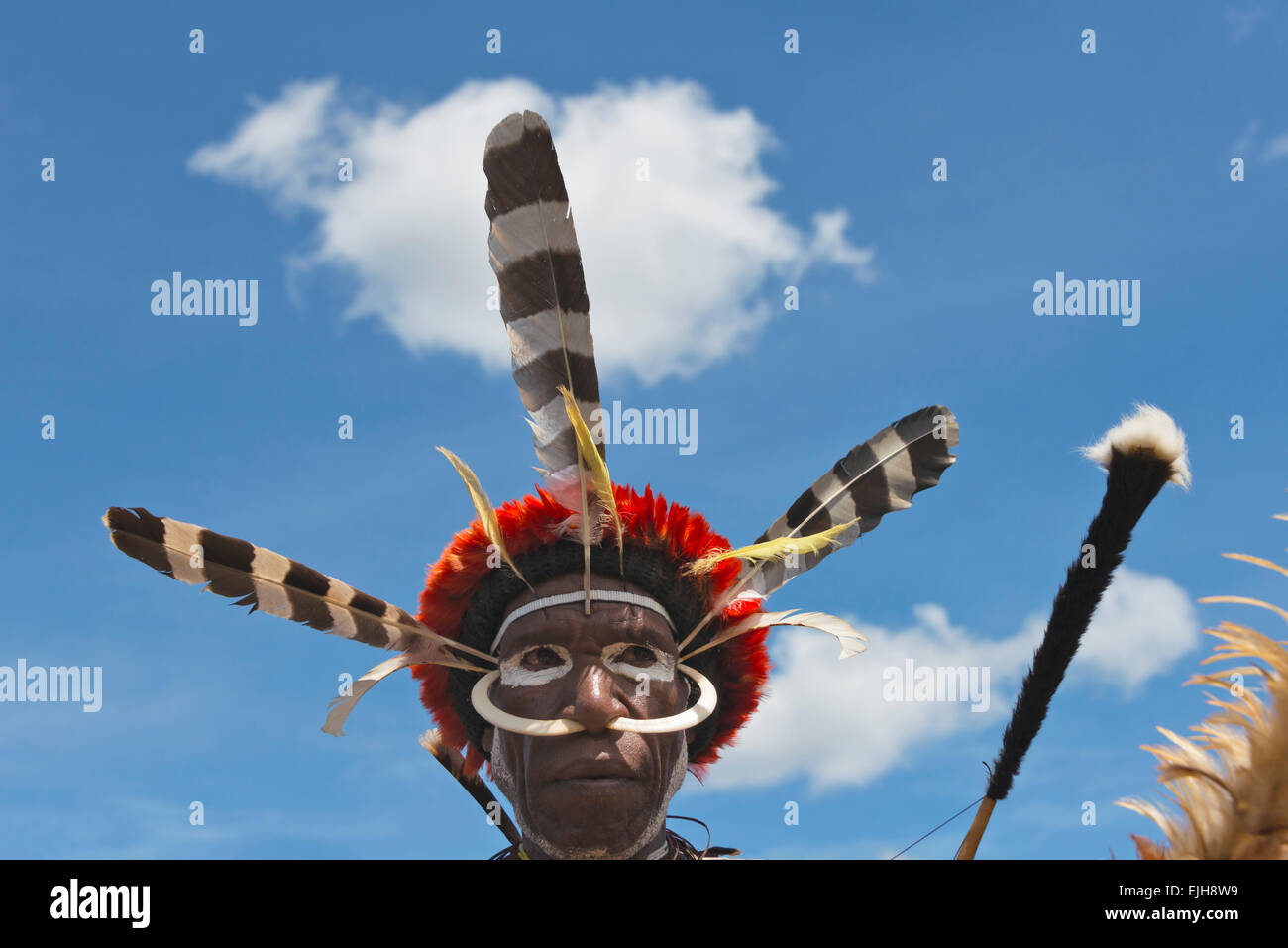 Dani man at Baliem Valley Festival, Wamena, Papua, Indonesia Stock Photo