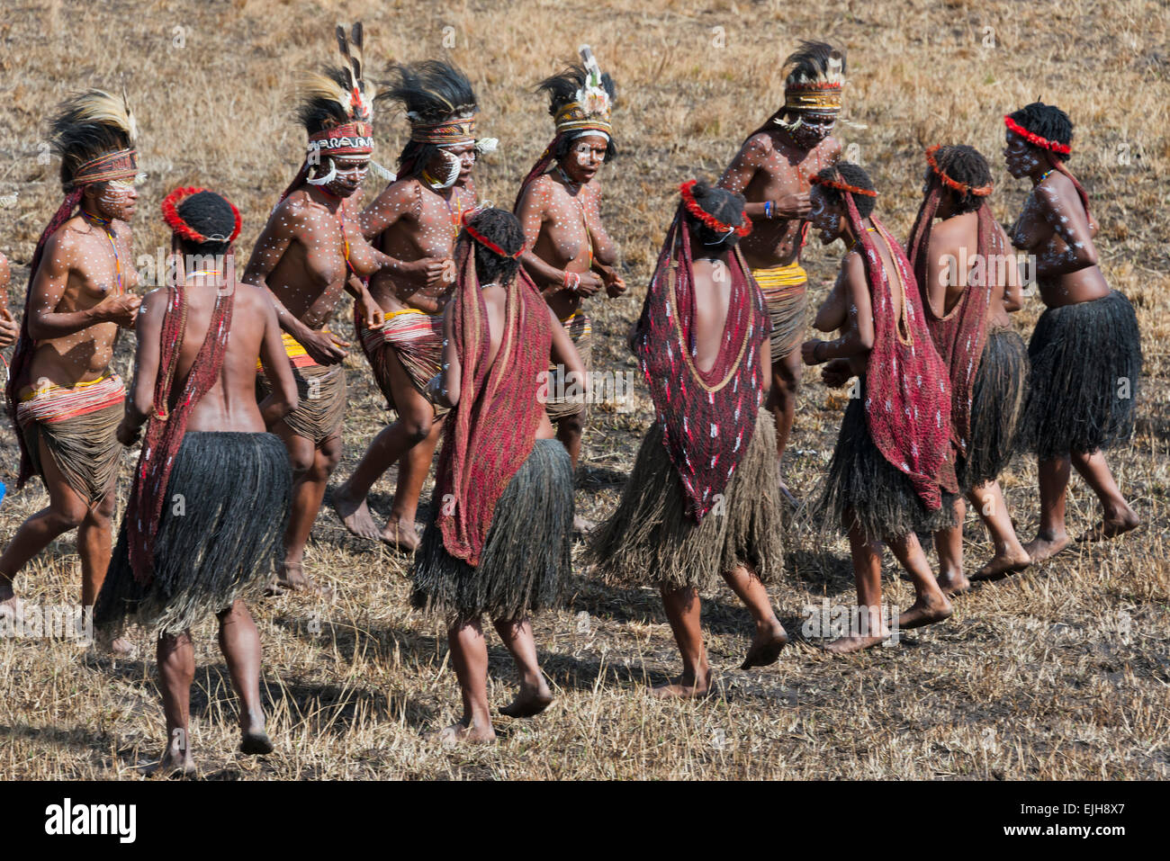 Dani women at Baliem Valley Festival, Wamena, Papua, Indonesia Stock Photo