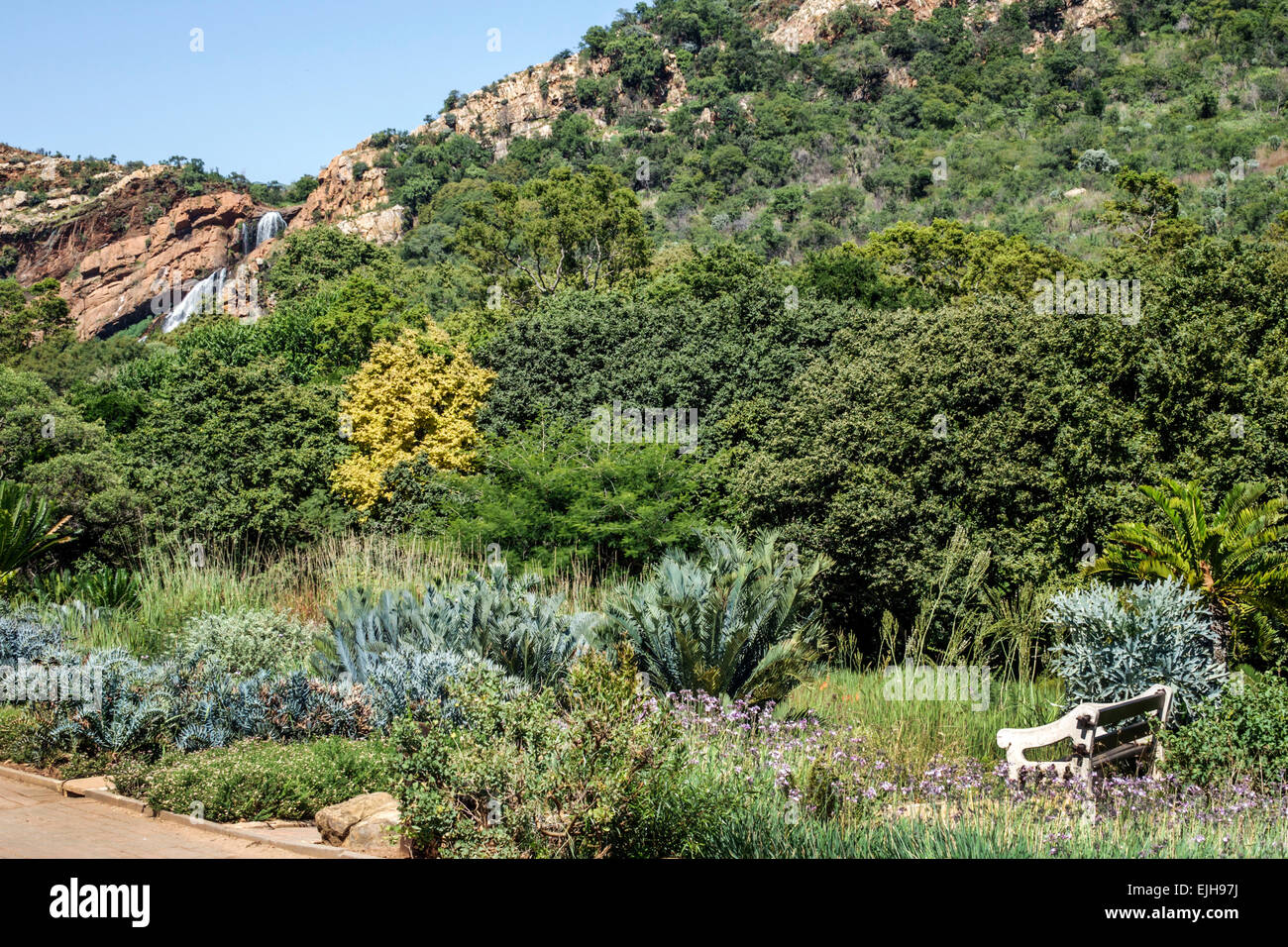 Johannesburg South Africa,Roodepoort,Walter Sisulu National Botanical