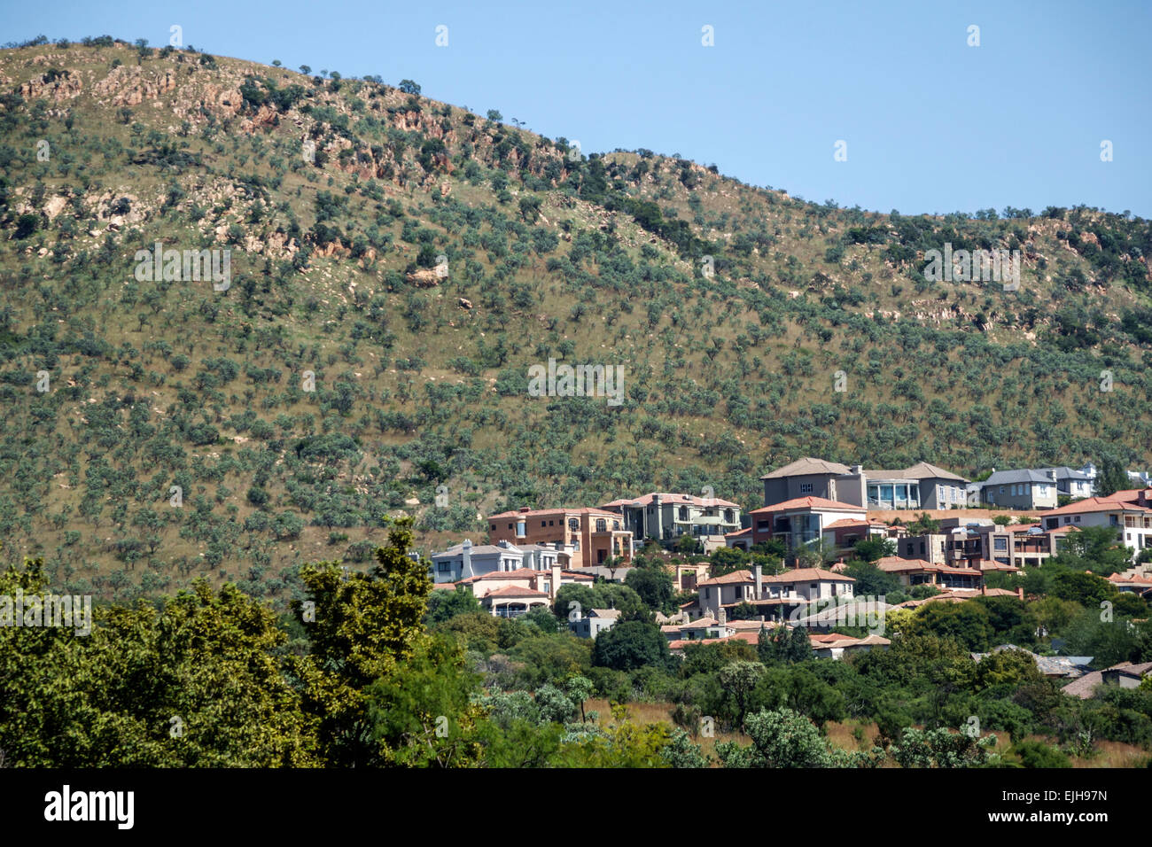 Johannesburg South Africa,African Roodepoort,Walter Sisulu National Botanical Garden,Witwatersrand,rocky highveld grasslands,houses,housing,visitors t Stock Photo