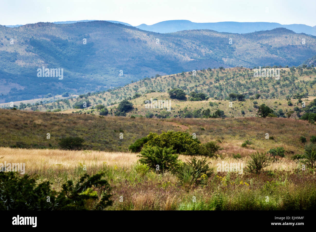 Johannesburg South Africa,Maropeng Visitors Centre,center,hominin,hominid site,human ancestor,Cradle of Humankind World Heritage Site,view,nature,natu Stock Photo
