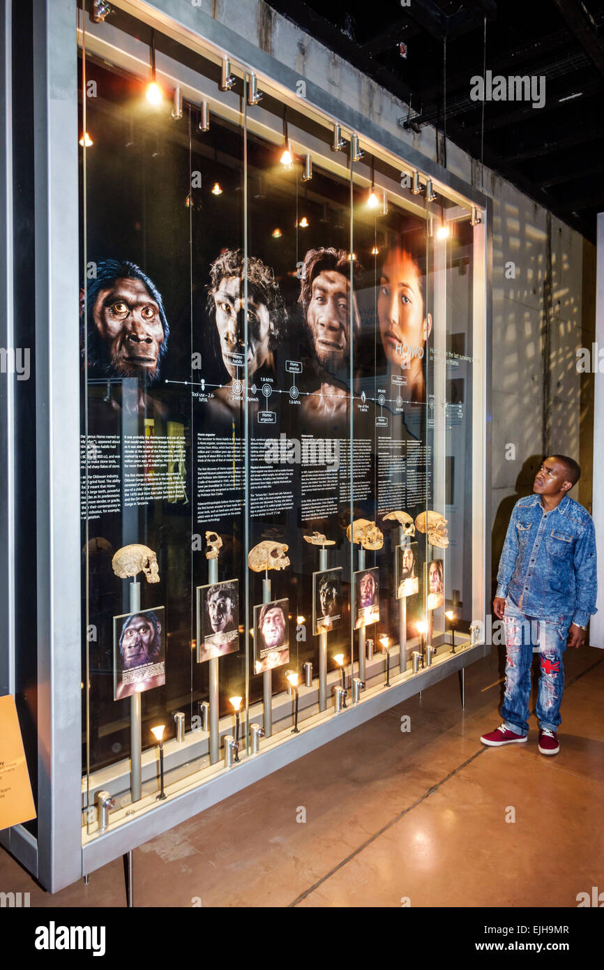 Johannesburg South Africa,Maropeng Visitors Centre,center,hominin,hominid site,human ancestor,Cradle of Humankind World Heritage Site,Tumulus building Stock Photo