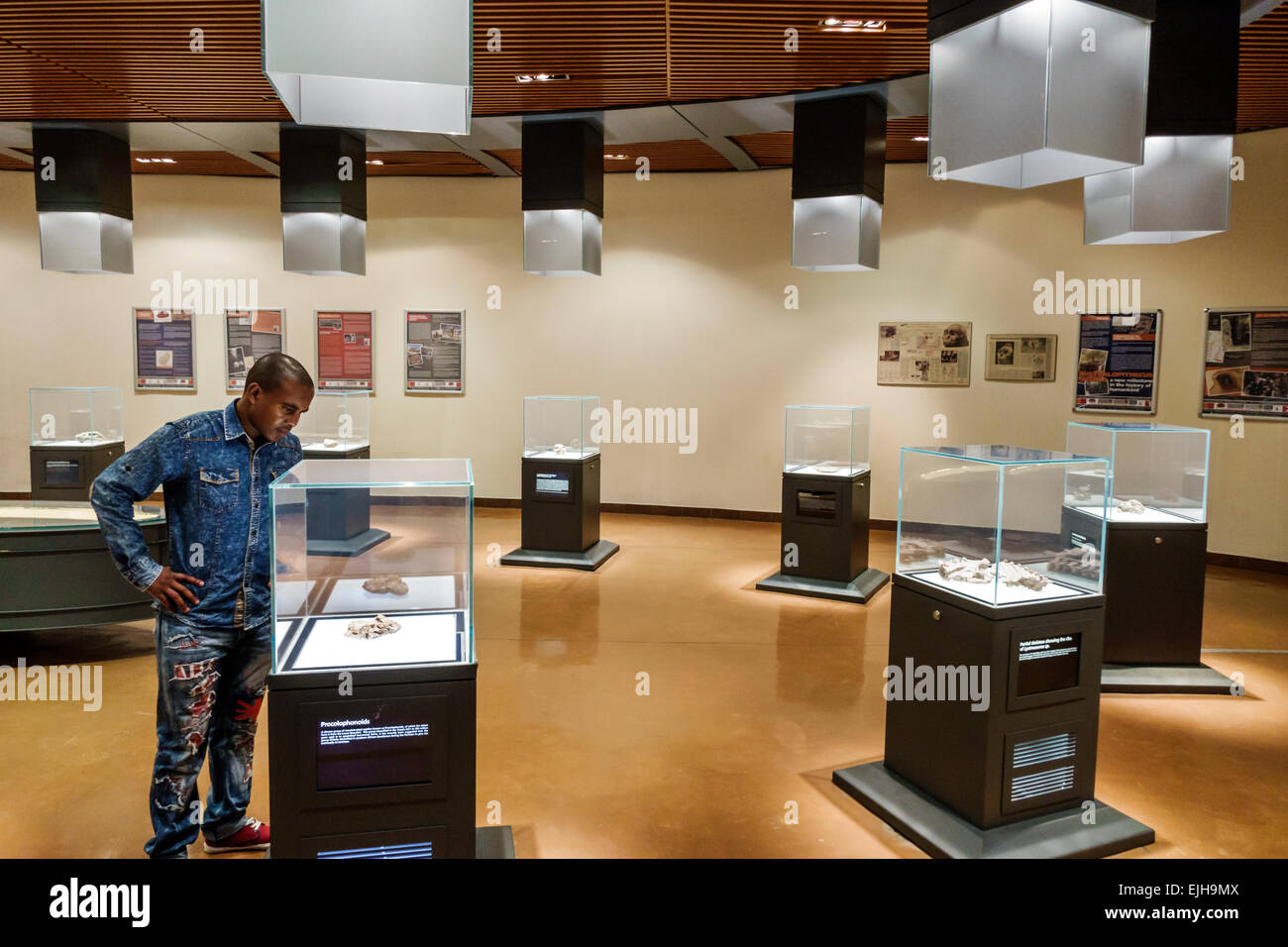 Johannesburg South Africa,Maropeng Visitors Centre,center,hominin,hominid site,human ancestor,Cradle of Humankind World Heritage Site,Tumulus building Stock Photo