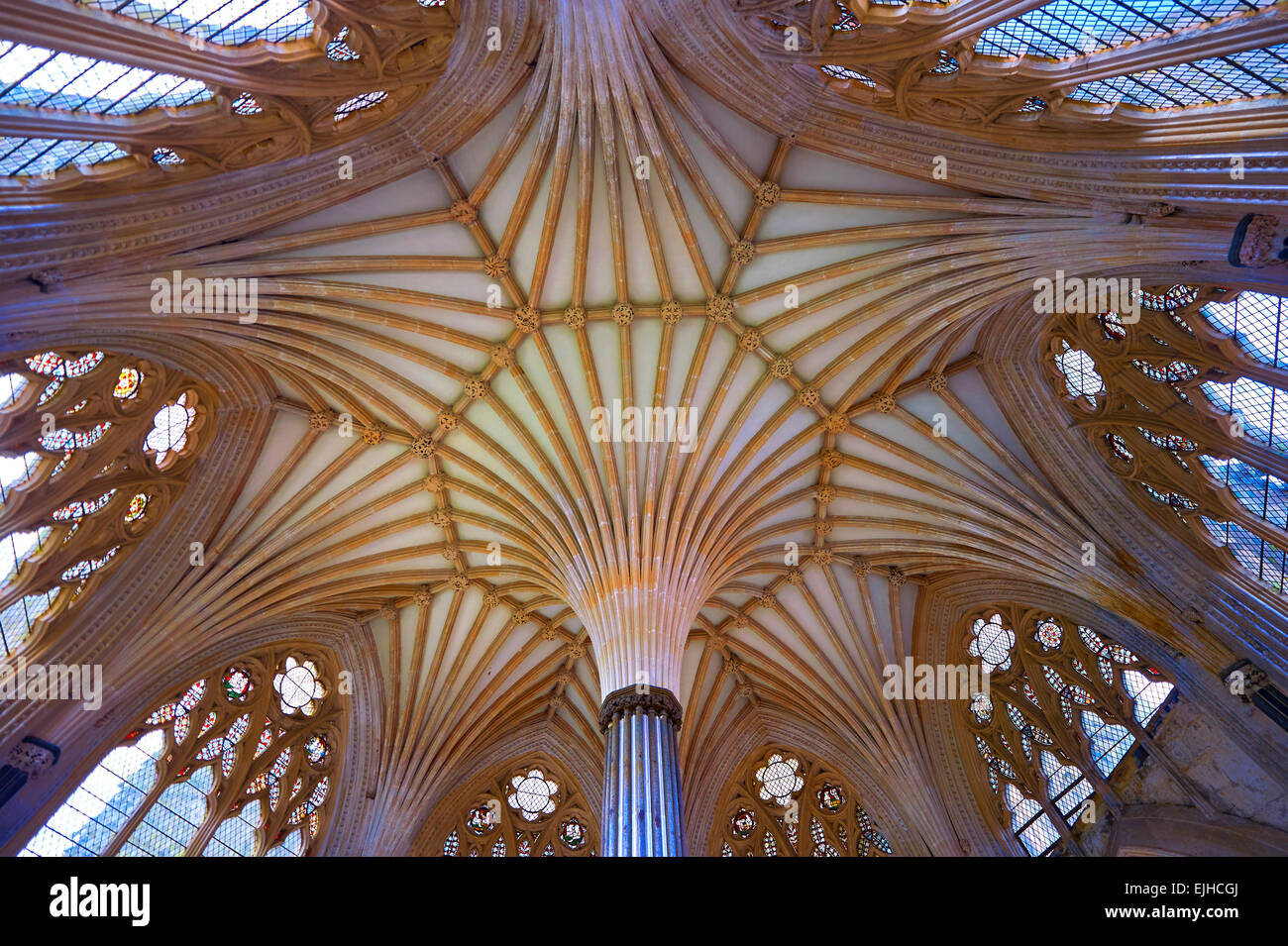 Interior vaulted roof of the Chapter House of the the medieval Wells Cathedral built in the Early English Gothic style in 1175,  Stock Photo