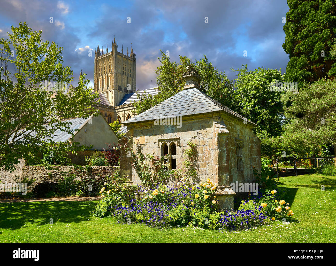 Gardens of the Bishops Palace of the the medieval Wells Cathedral built in the Early English Gothic style in 1175, Wells Somerse Stock Photo