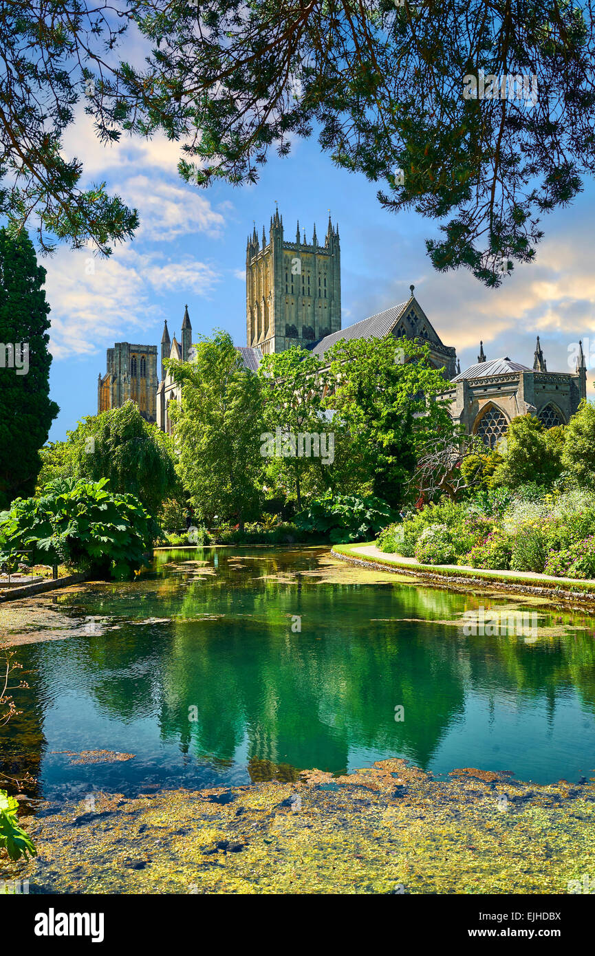 Gardens and well pools of the Bishops Palace of the the medieval Wells Cathedral built in the Early English Gothic style in 1175 Stock Photo