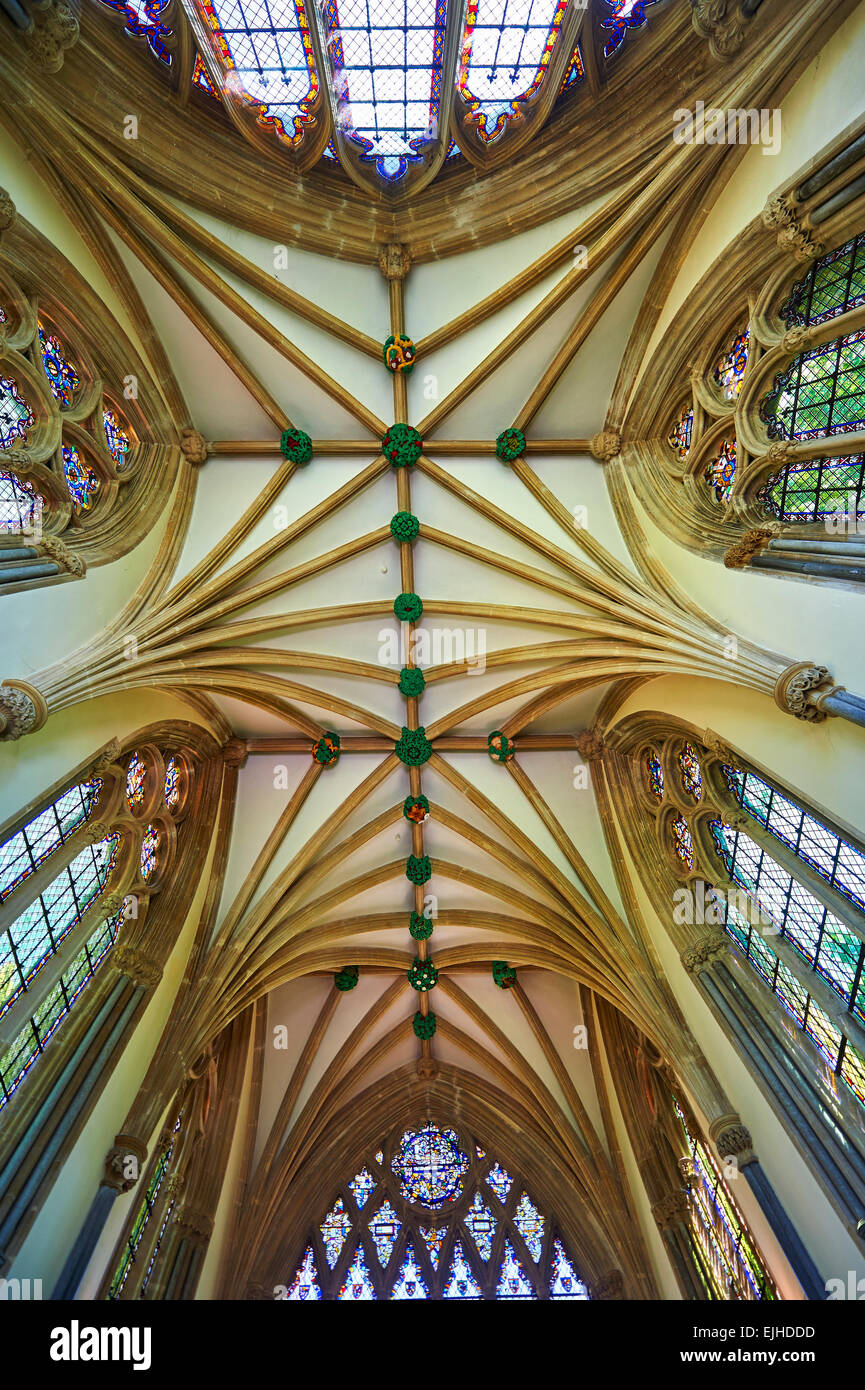 Vaulted ceiling of the chapel of the Bishops Palace of the the medieval Wells Cathedral built in the Early English Gothic style Stock Photo