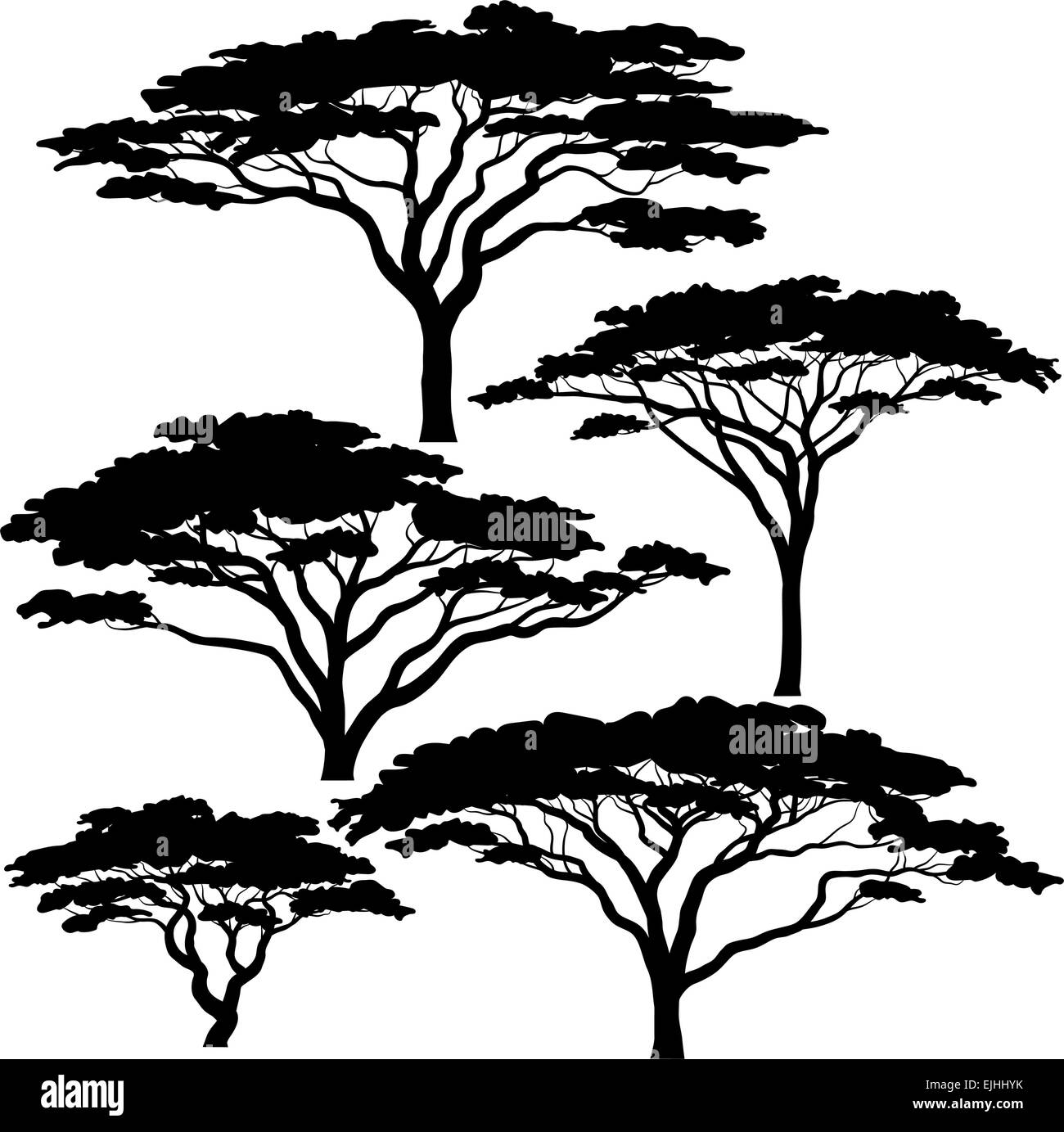 Set of eps8 editable vector silhouettes of acacia trees Stock Vector