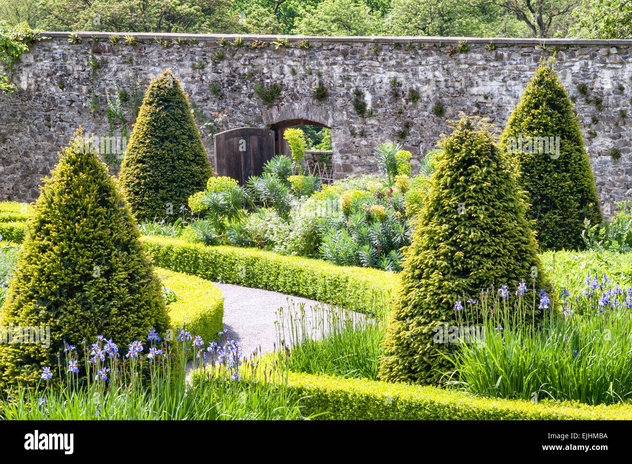 Aberglasney House and Gardens, Carmarthen, Wales, UK. The Upper Walled Garden, designed by Penelope Hobhouse Stock Photo