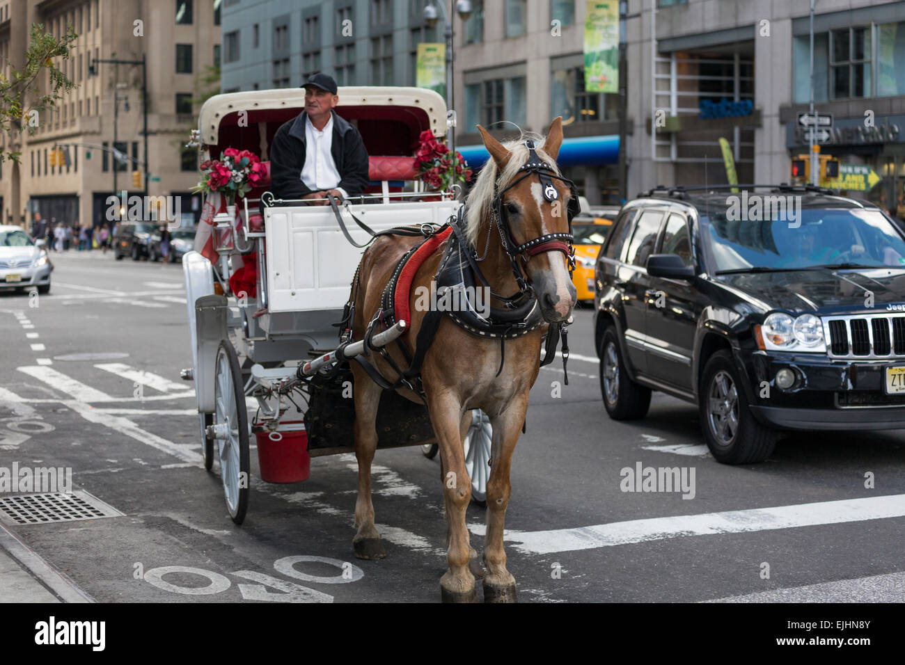 White horse and carriage at Columbus Circle, New York City, USA Stock Photo