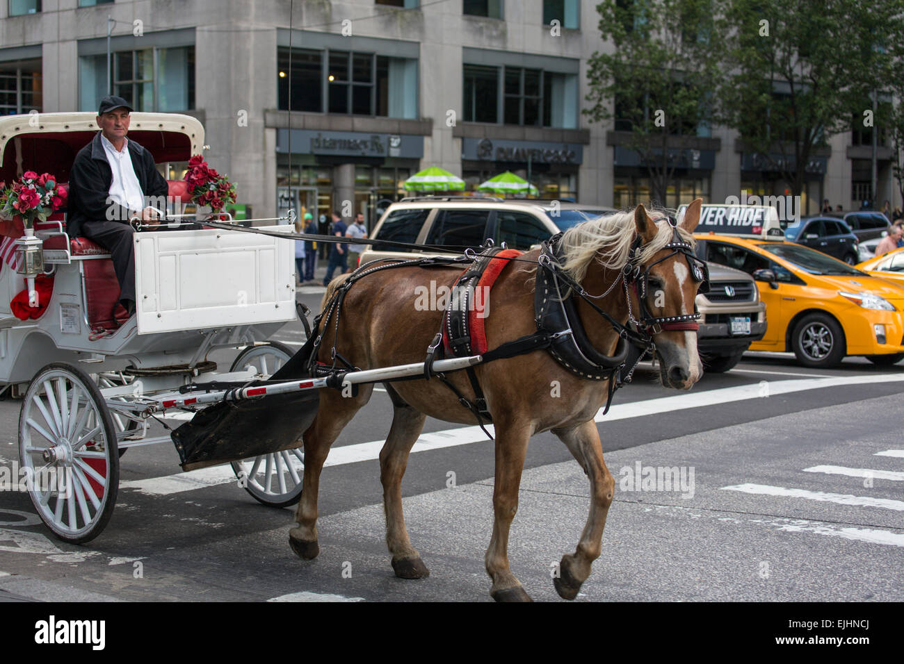 White horse and carriage at Columbus Circle, New York City, USA Stock Photo