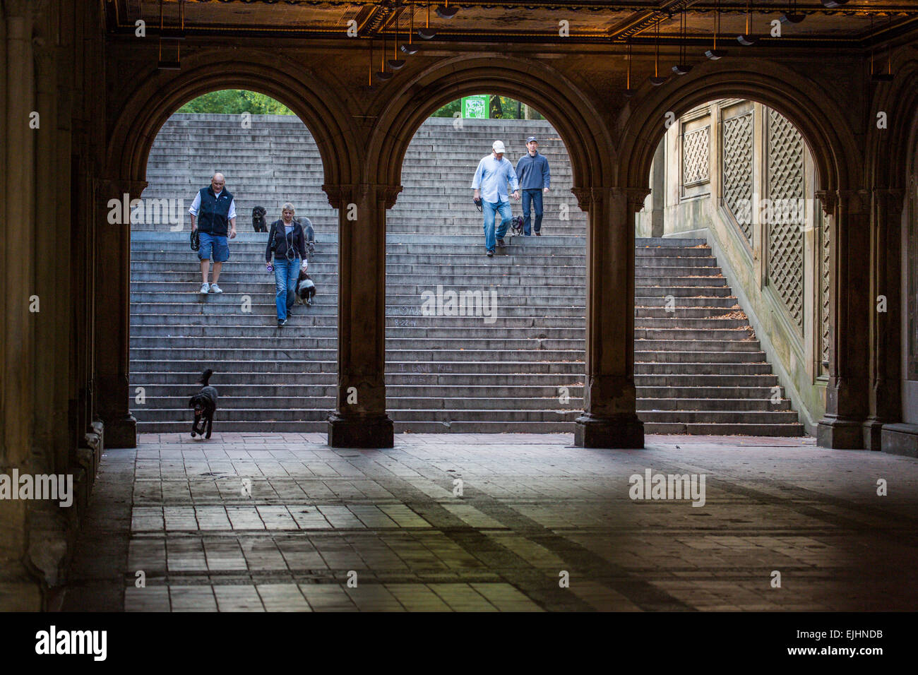 People walking dogs at Bethesda Terrace, Central Park, New York City, USA Stock Photo