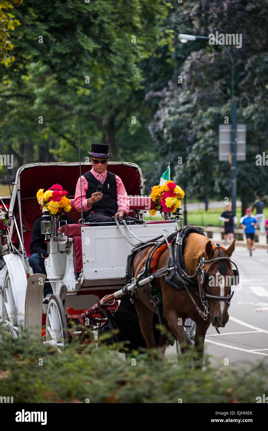 Horse and carriage ride in Central Park, New York, USA Stock Photo