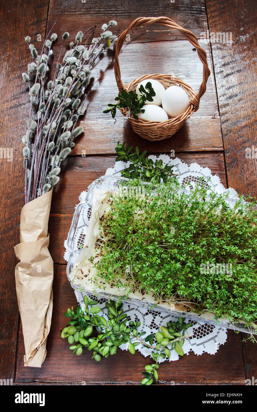 Easter composition of willow twigs with catkins, boxwood, green cress ...