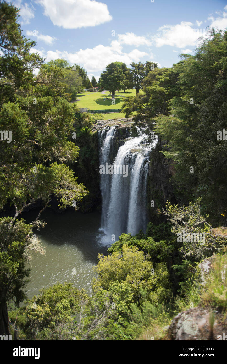 Whangarei Falls im Whangarei Scenic Reserve bei Glenbervie, Nothland, Neuseeland, newzealand Stock Photo