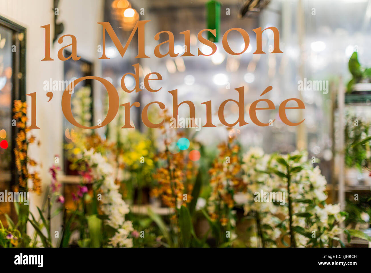 Maison de l'Orchidee orchid shop, Paris, France Stock Photo