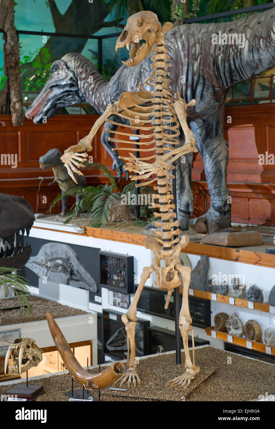 Dinosaurland Fossil Museum in Lyme Regis,Dorset,UK with owners Steve