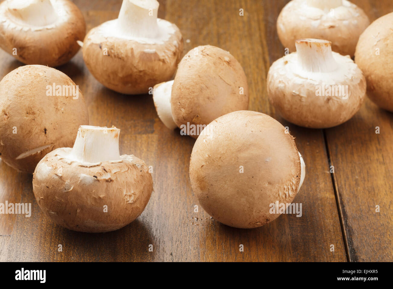 Brown mushrooms Stock Photo