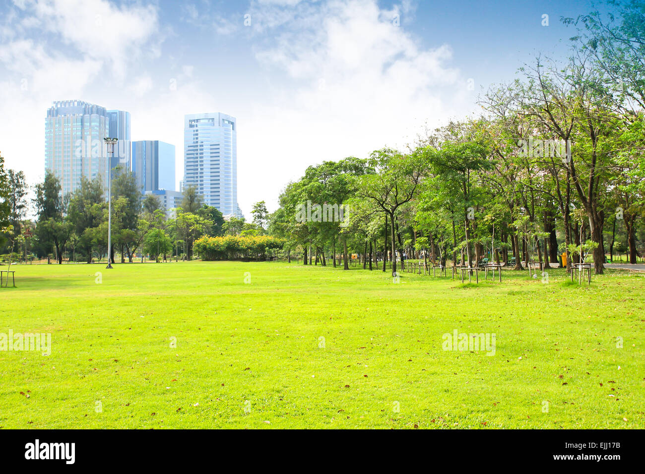 Green city park Stock Photo Alamy