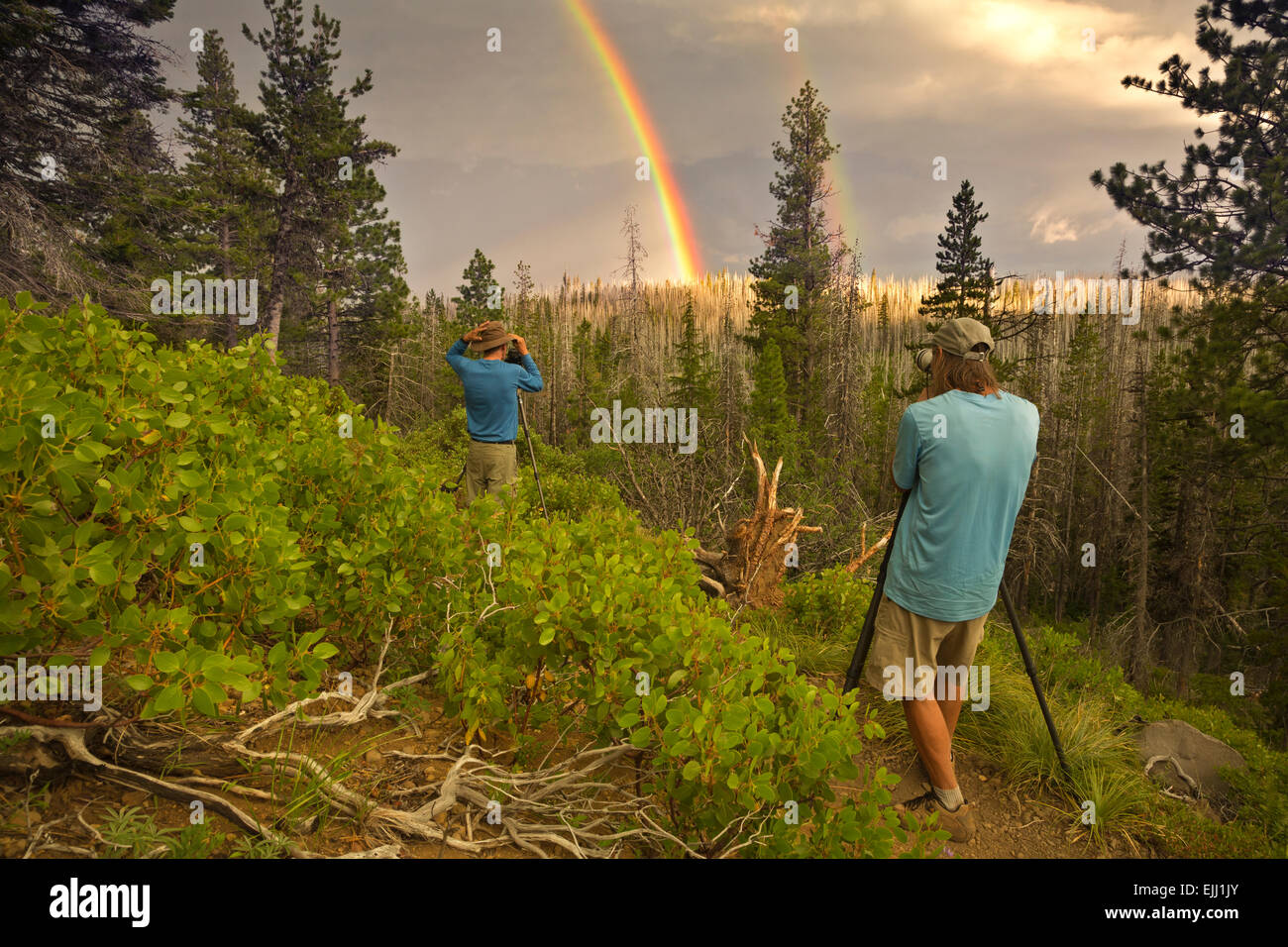 OR01789-00...OREGON - Photographers on the Canyon Creek Trail near Jack Lake in the Deschutes National Forest. Stock Photo