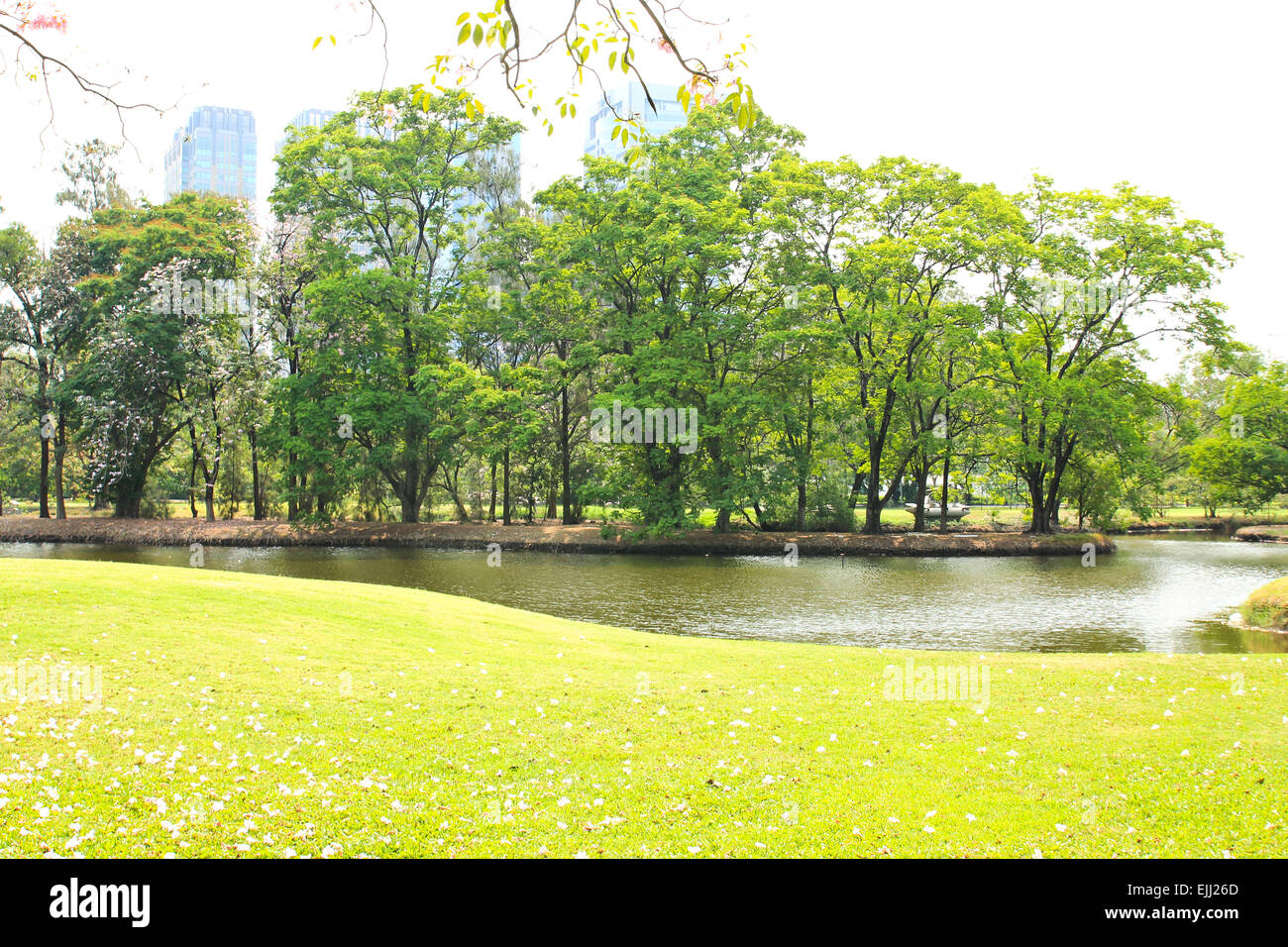 Green city park Stock Photo Alamy