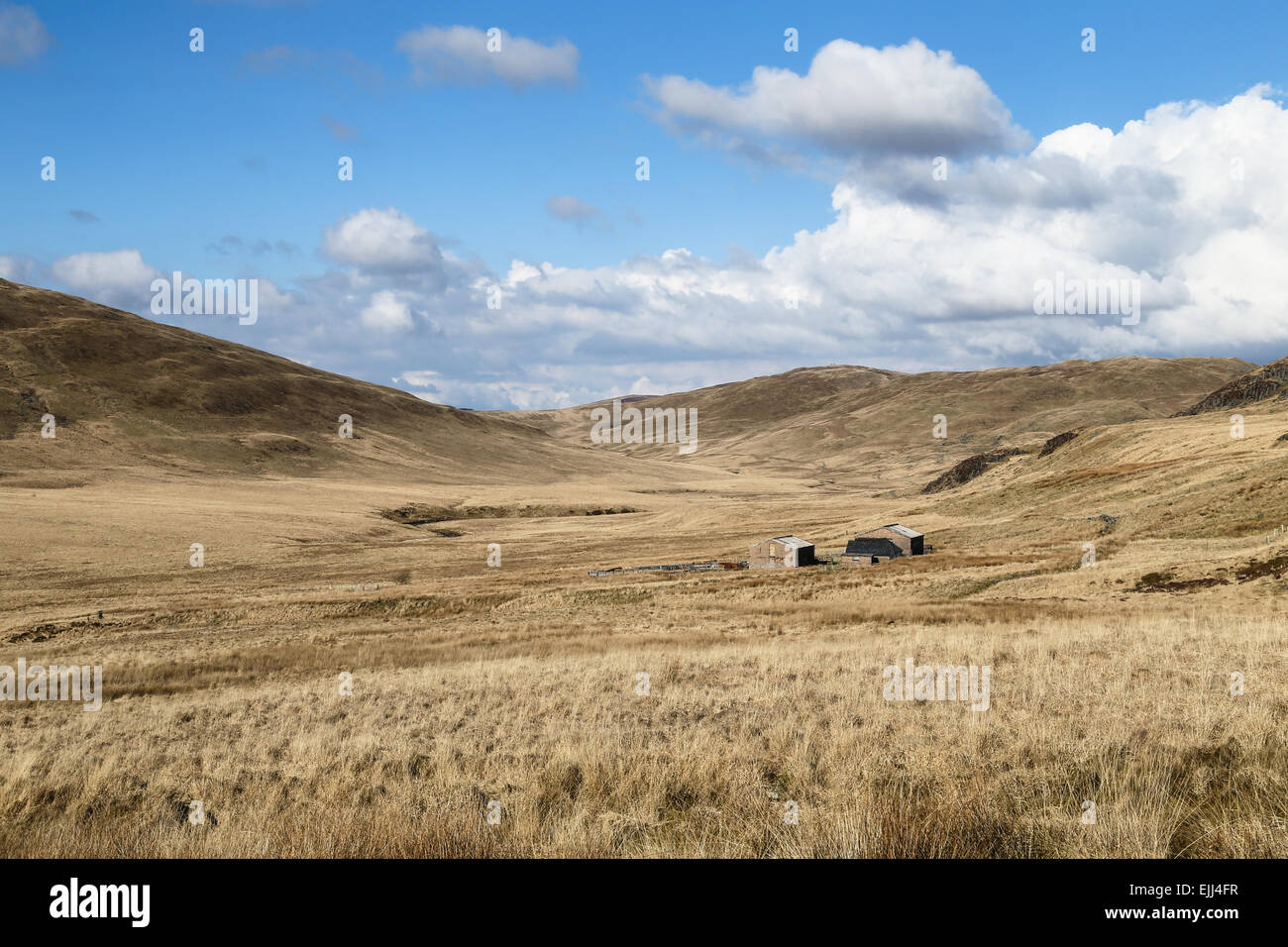 Wide deserted upland valley of rough grass at Maes y Nant, Nant-y-moch, Pumlumon, Cambrian Mountains. Stock Photo