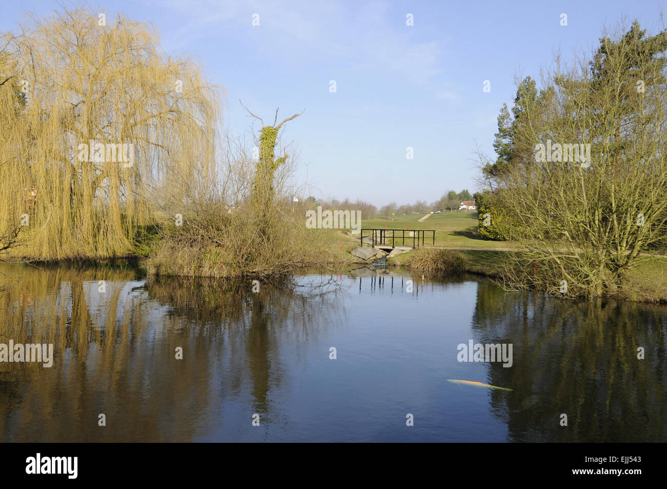 View over the large pond to the 18th Green at Toot Hill Golf Club Ongar Essex England Stock Photo