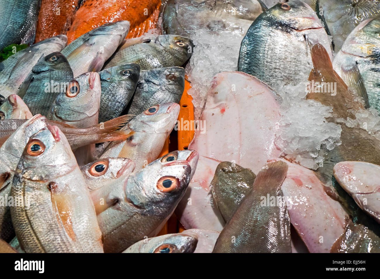 Many different fishes for sale at a market Stock Photo