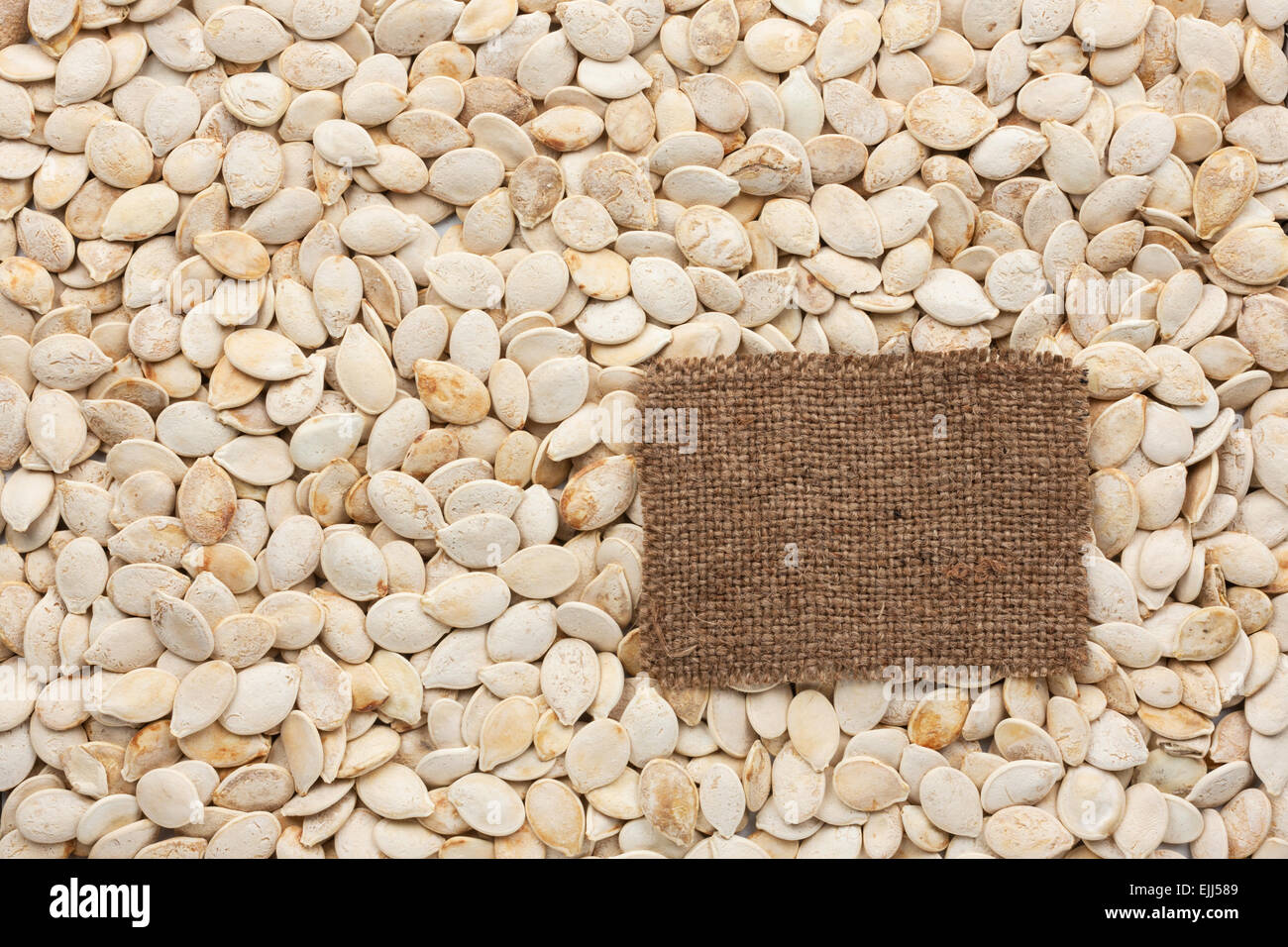 Tag made of burlap lies against the backdrop of pumpkin seeds, with place for your creativity Stock Photo