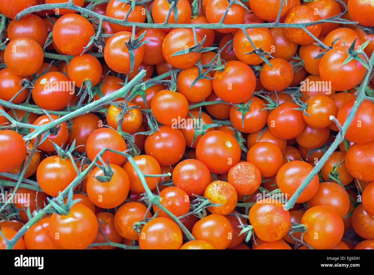 Some red ripe tomatoes for sale at a market Stock Photo - Alamy